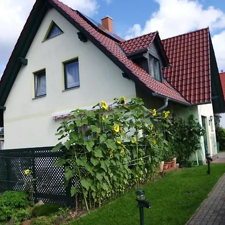 Haus Arvert Koserow Exterior foto