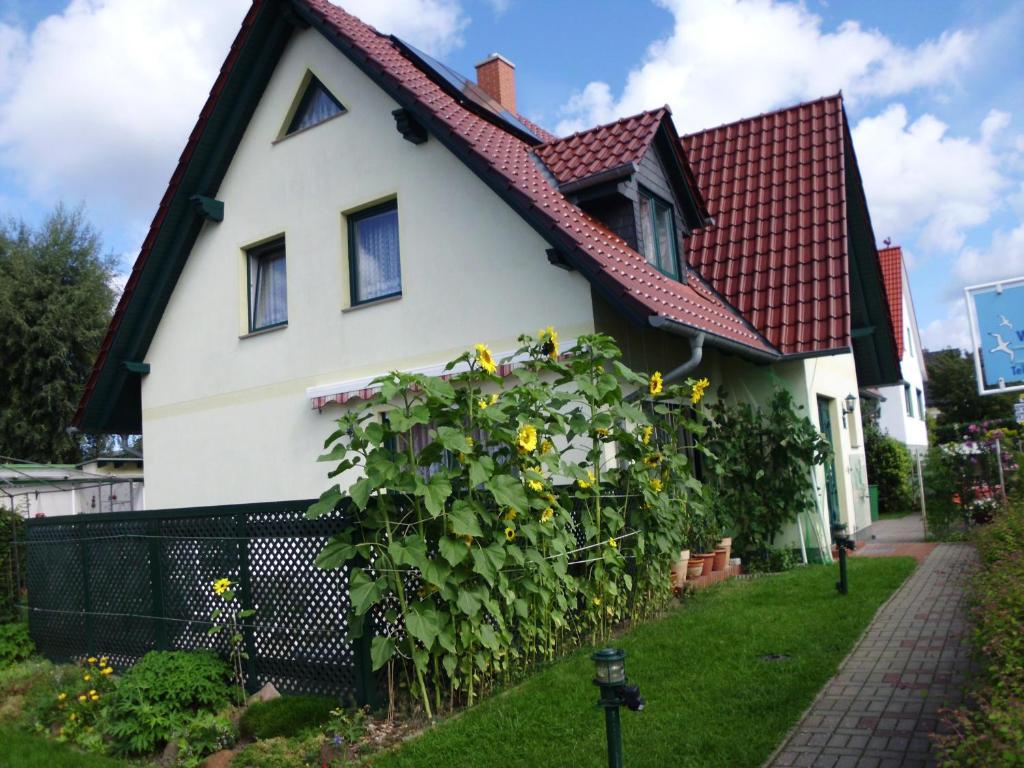 Apartment Haus Arvert Koserow
